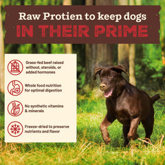 Primal Pet Foods, ingredientes reales y simples para nutrición natural.