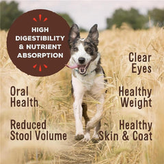 Primal Pet Foods Pronto Mini Nuggets pollo, rehidratado para textura suave y agradable.