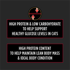 Purina Pro Plan DM Dietetic Management, bolsa de 6 lb, diseño para almacenamiento cómodo.