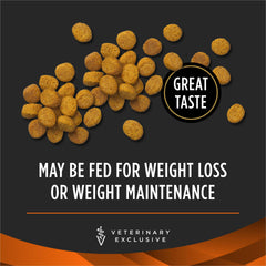 Croquetas secas Purina OM en tazón para control de peso felino