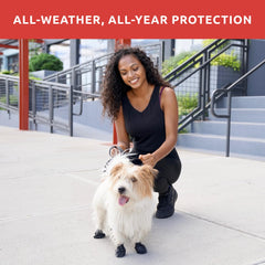 Protex PawZ botas para perro pequeño en nieve, tracción y seguridad
