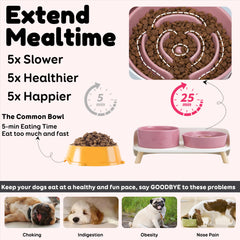 PTOBER base elevada ergonómica para perros pequeños y medianos.