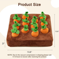PUMEXFE 12 zanahorias ocultas para juego de forraje