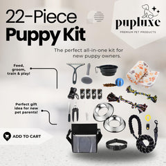 PupLuxe collar cierre rapido reflectivo, ajuste seguro para paseos nocturnos