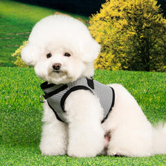 Detalle del cierre de velcro y hebilla en el arnés Puppia Amatus Vest