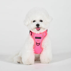 Puppia arnés neón ajuste cuello, cómodo y estable