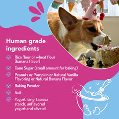 Puppy Cake sobre-glaseado-perro: cobertura sabrosa para pastel casero