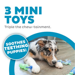 Pupstages Mini Dentachew juego de tirón para cachorros.