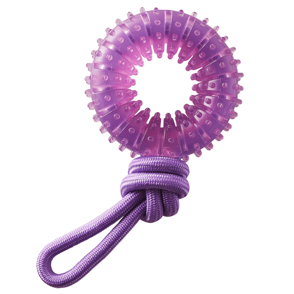 Pupstages Outward Hound rueda dental y cuerda morada para morder y limpieza dental