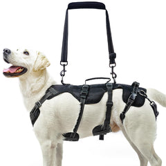 PUPTECK arnés de elevación con correas traseras desmontables para subir escaleras.