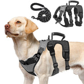 Arnés PUPTECK a prueba de escape para control seguro durante la caminata.