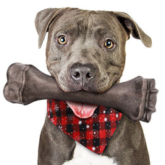 PUPTILY Hueso indestructible grande para perros grandes, ideal para masticar con seguridad.