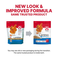 Purina Layena Pellets: gallinas comiendo pellets en comedero, apoyo a la ingesta diaria.