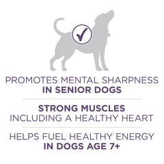 Purina ONE aceite MCT vegetal para energía y claridad mental.