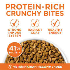 Purina ONE con carne real como ingrediente principal para gatos