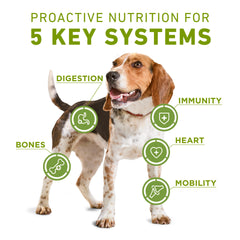 Purina ONE Plus seco con kibble y trozos de pollo para músculos