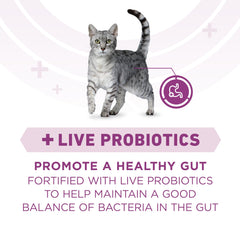 Purina ONE Plus vitaminas y minerales para piel y pelaje saludables.
