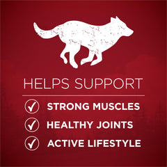 Purina ONE True Instinct, alimento sin granos para digestión equilibrada