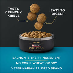 Purina Pro Plan AdvantEDGE: antioxidantes para apoyo inmune en perros grandes.