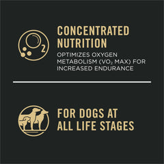 Purina Pro Plan Deporte, croquetas antioxidantes fortalecen la inmunidad natural.