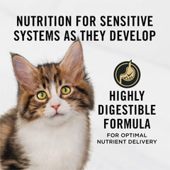 Purina Pro Plan Gatito salmón real como primer ingrediente, croquetas crujientes.
