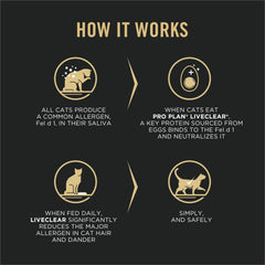 Purina Pro Plan LIVECLEAR: gato comiendo en un tazón, posible apoyo digestivo.