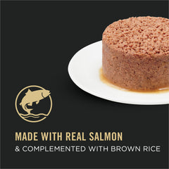 Purina Pro Plan Pate salmón con arroz integral; lata de 5.5 oz para comida diaria.