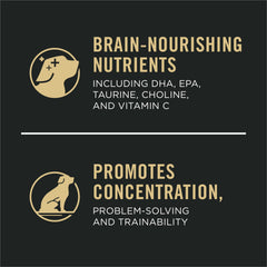 Purina Pro Plan Sport para cachorro activo, proteína alta para energía sostenida.