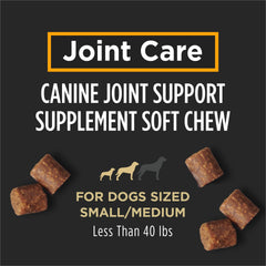 Purina Pro Plan Veterinary Joint Care mostrando articulaciones saludables en perros pequeños.