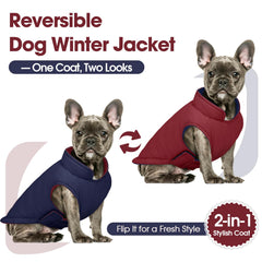 QBLEEV abrigo impermeable y cortavientos para perro, ideal para paseos en lluvia
