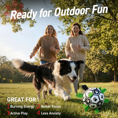 QDAN bola de fútbol para perros con agarre para recoger y lanzar