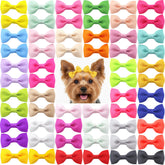 Lazos QingHan para pelo de perro de 2 pulgadas, ideal para cachorros.