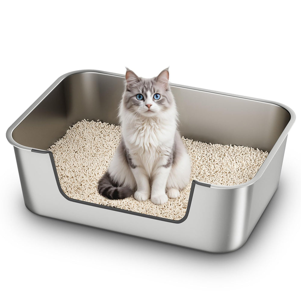Caja Qiuma con entrada baja facilita el acceso de gatitos y gatos mayores.