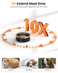 Qiuma capacidad de 3,5 tazas para perros medianos y grandes.