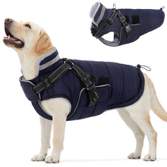 Queenmore chaqueta invernal para perro con arnés integrado, ideal para paseos en frío.