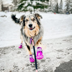 Botas QUMY para perros grandes con correas reflectantes para mayor visibilidad