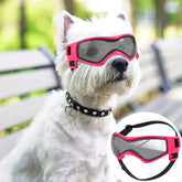 Gafas para perro QUMY con ajuste de correa para paseos cómodos