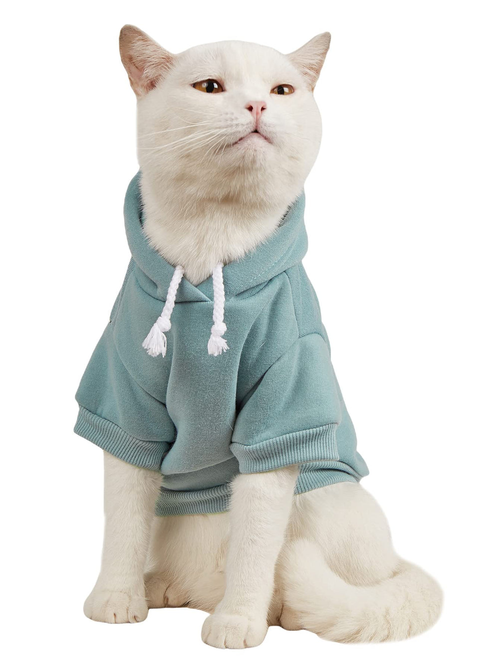 QWINEE Sudadera con capucha para perros, vista frontal, prenda cálida para paseos.