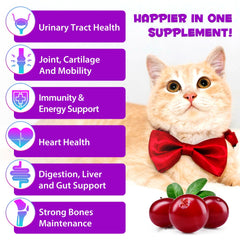 Gotas de QwsYaay Multivitaminas Gatos; fácil dosificación para movilidad diaria