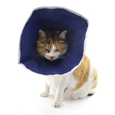 QIYADIN collar recuperación suave para gatos: descanso cómodo tras cirugía.