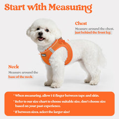 rabbitgoo arnés-ajuste-velcro: ajuste seguro y sencillo para perros pequeños.