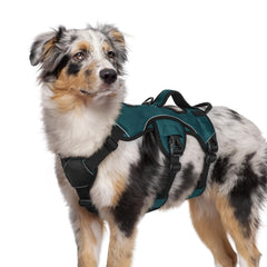 Arnés rabbitgoo anti-escape para perro mediano en verde oscuro, seguridad en paseos.
