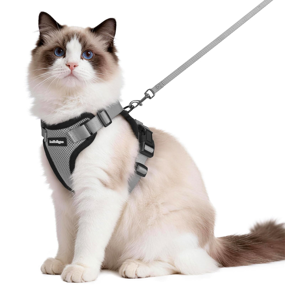 Rabbitgoo arnés gato a prueba de escapadas, ajuste seguro para paseos al exterior