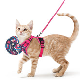 Arnés Rabbitgoo para gato con malla de aire, ajuste cómodo para paseos prolongados.