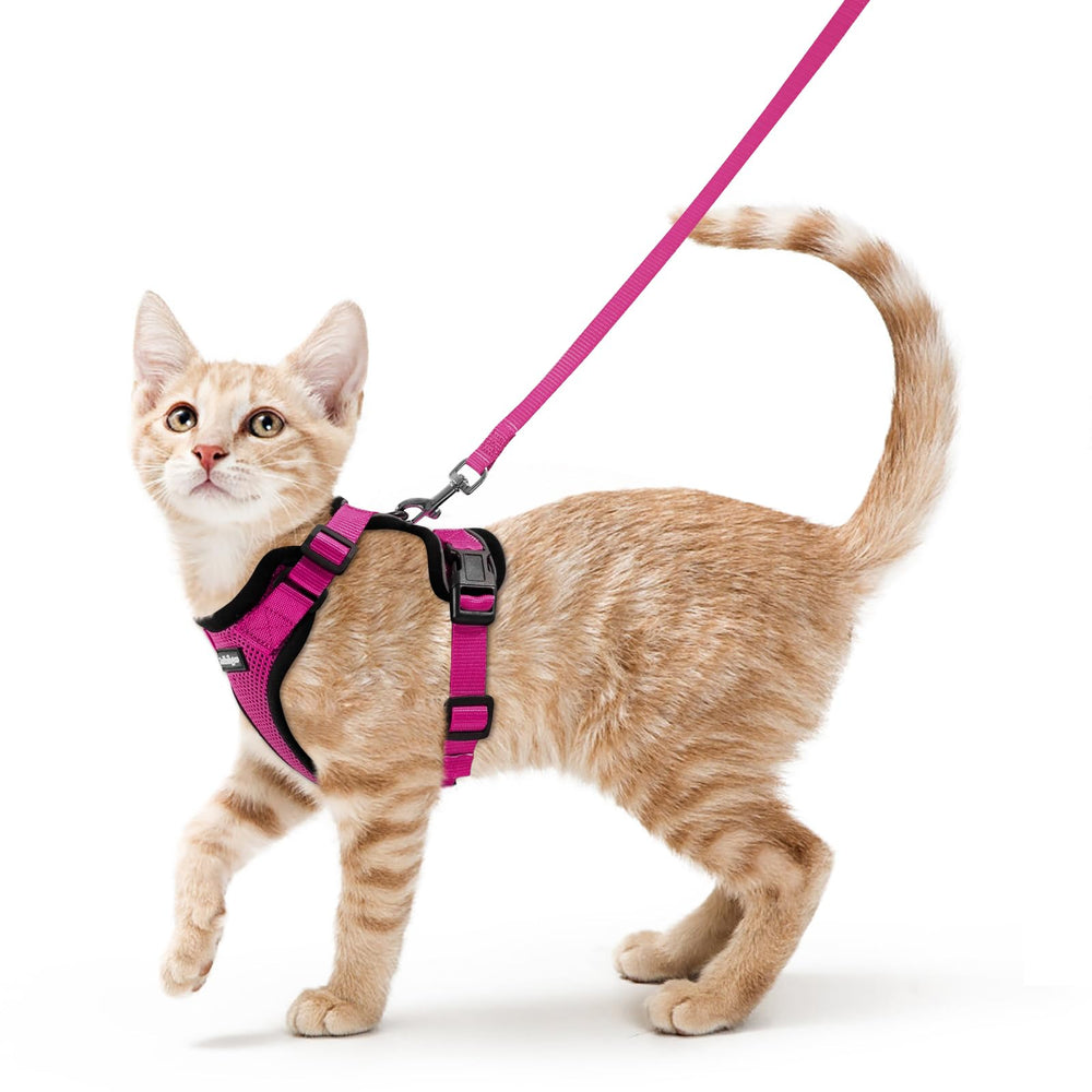 Arnés Rabbitgoo para gato con ajuste de chaleco cómodo.