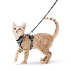 Arnés Rabbitgoo para gatos con ajuste-confort, ideal para paseos cómodos