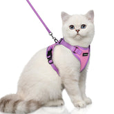 Arnés Rabbitgoo para gato, vista frontal, ajuste cómodo para paseos seguros.