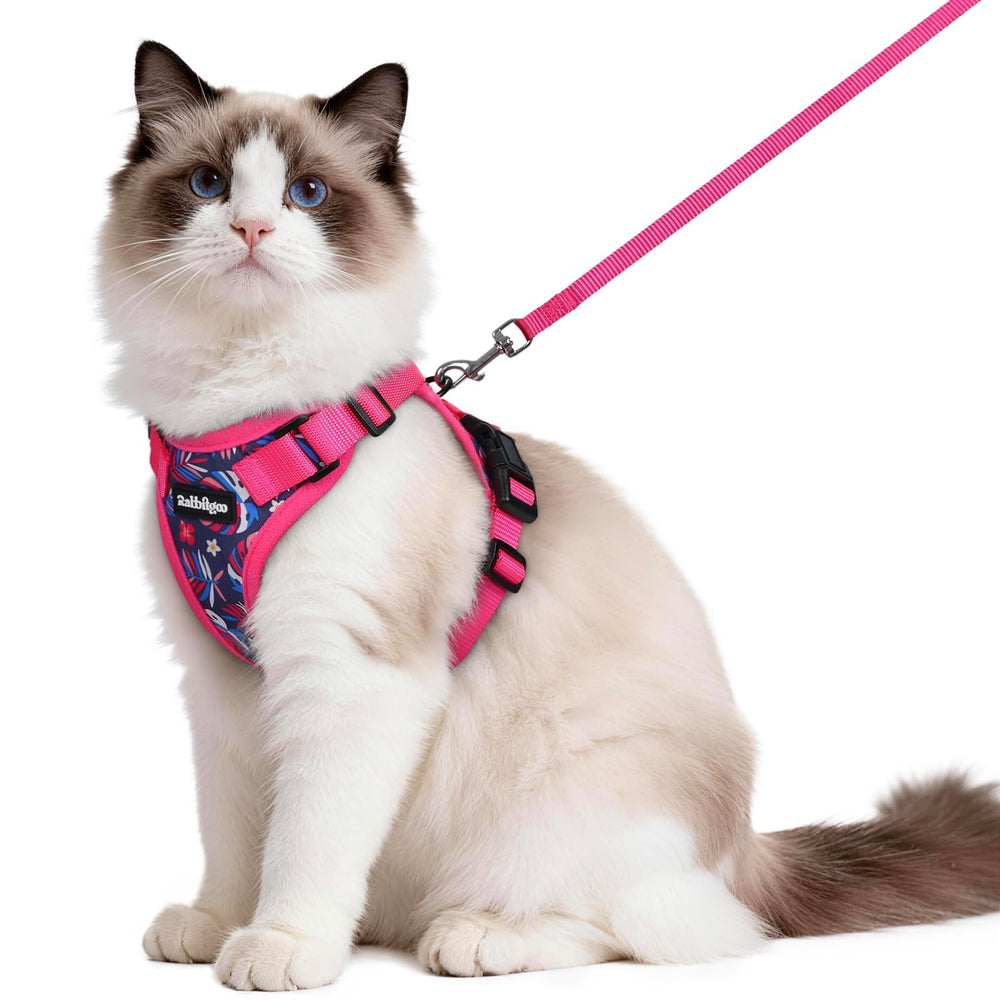 Arnés Rabbitgoo para gato con malla transpirable, paseos más frescos