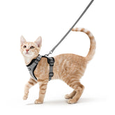 Arnés Rabbitgoo para gato con malla respirable, paseos cómodos.