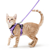 Arnés rabbitgoo-arnes-gato-vest-ajuste para paseos seguros